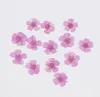 Flores decorativas 100pcs prensado Sorbaria Sorbifolia Flor para jóias de resina epóxi Fazendo maquiagem Face Nail Art Craft Acessórios Diy