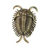 Estatuetas decorativas trilobitas estátua cambrian brass artesanio presente mini trilobita estatueta para decoração em casa quarto de quarto