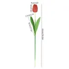 Decorative Flowers 5pcs Simulation Tulip For Decoration Home Wedding Artificial Bouquet Bridal Silicone Tulips Party Decor Plants