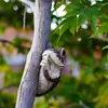 Bahçe Dekorasyonları Ağaç Heykeli Sevimli Kurbağa Peeker Yard Dekorasyon Hugger Dış Mekan Heykelleri Sessiz