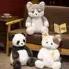 Bambole peluche kawaii husky shiba inu giocattolo peluche fumetto morbido gatto animale peluche adorabile regalo di peluche bambola soffice regalo di compleanno per bambini y240415