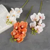 Decorative Flowers 5Heads Phalaenopsis High Simulation Hand Feeling White Orchid Latex Branch Artificial For Home Room Decoration Flores