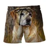 Mäns shorts Animal Dog 3D Print Beach For Men Kids Summer Casual Swim Trunks Quick Dry Surf Board Street Loose Short Pants