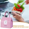 Opbergtassen thermische lunchbox tas ijs pakket totot eten picknick multifunctionele snack organisator draagtas voor outdoor accessoire