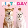 Dog Apparel KX4B 2pcs Trend Dogs Birthday Hat With Sequins Tassels Bib Cats Carnivals Pography Bandanas