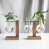 Transparante bolvaas met houten standaard bureaubladglasplanter voor hydrocultuurplanten Coffee Shop Room Decor 240423