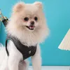 Summer Designer Pet Harness Leash Set Leather Dog Clothes Justerbar bröstband Väst för hundkatter Drop Leverans Hem CAD24041503