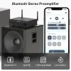 Adapter Arylisk BP50 Bluetooth Stereo APTX HD Audio Preamplifier Mottagare 2.1 Channel Mini Class D Integrerad AMP för hemhögtalare