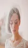 Vintage Birdcage Wedding Veils Face Blusher Wedding Haarstukken Twee lagen Twijgen Honing Bridal Headpieces Bruids Veils V0044305607