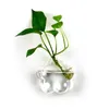 Vasi vaso decorativo con bocca larga in bocca idroponica goccia muro appeso fiore di fiore resistente