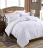 Juwenin Luxury Duvet Insert Goose Down Alternative Comberter Quilt3018936