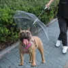 Colliers de chien alimente le parapluie amazon en peluche petite avec une laisse de corde de traction marche