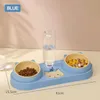 Double bols pour chats avec un distributeur d'eau incliné des plats alimentaires pour animaux de compagnie intérieurs facilement détachés du bol de nourriture humide et sec 240407