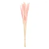 Decorative Flowers 15pcs Home Wedding Decor Bunch Pink Pampas Reed Grass Dried Flower Bouquet For Arrangement Art Craft