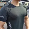 Camisetas novas no verão gelo seda respirável Men rápido seco executando tshirts gym gym fitness workout sports esportes elásticos treinamento de roupas esportivas