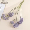 Flores decorativas de 50 cm Flower Silk Flower Cornflower Fake Planta Decoración del hogar Boda