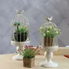 Mum tutucular ev dekorasyonu fransız vintage retro bitiren demir kuş kafesi çiçek kuş kafes mousse