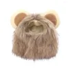 Костюмы кошек забавные домашние животные кепка Lion Wig Fancy Costume Pupm