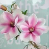 Fiori decorativi mini magnolia fiore artificiale decorazione domestica interno decorazione creativa in seta corta atmosfera di piante rami