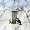 Faisseur d'oiseaux Clear Protective Dome Anti-Squirrel Roule à l'épreuve de la pluie couvercle de protection de la pluie suspendus avec des crochets 240407