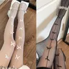 Chaussettes hosiery blanc creux transparent slim slim pantyhoses club de fête club noirs collants en maille sexy bornes collants 2023 Nouveau été