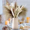 Fiori decorativi 80pcs naturale secco Pampa bouquet boho decorazioni per la casa di Halloween phragmites novità decorazione natalizia