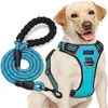 Gepersonaliseerd reflecterend duurzame gemakkelijke slijtage nylon zware hondentouw vest borst riemriem pet training harnas leiband 240402