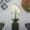 Vases Fleur de soie avec verre en verre Vase beige étagère décor décorations de salle pour hommes