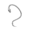 Kleine slang kronkelende oorbellen vrouwelijk vintage creatief getij mannelijke paren niche design sense