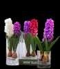 1 PCS Artificial Flower Hyacinth with Bulbs Home Table Bonsai Potted Home Garden Office Decoration Wedding Christmas Decoration4354920