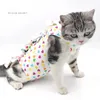 Costumi di gatto abito di recupero dopo abiti da cucciolo fisiologico traspirante per le forniture di gilet anti clic sugli animali domestici