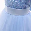 Abiti da principessa per le maniche corte per bambine per le feste da sera per la festa di nozze Birthday Floral Stampa floreale Tulle Tutu Vestidos 240413