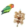 Andra fågelförsörjningar Pet Chews Toys Parrot Macaw African Gray Budgie Parakeet Cockatiels Lovebird Bites Swing Cures