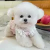 Vêtements pour chiens chat d'été robe chiot vêtements yorkshire terrier pomeranian shih tzu poodle maltais bichon fris