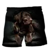 Mäns shorts Animal Dog 3D Print Beach For Men Kids Summer Casual Swim Trunks Quick Dry Surf Board Street Loose Short Pants