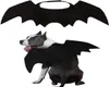 Psa odzież Pet Cat Bat Wings Halloween Cosplay Bats Costume Pets Ubrania dla kotów Kittak Puppy Małe średnie duże psy A977360756