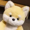 Bambole peluche kawaii husky shiba inu giocattolo peluche fumetto morbido gatto animale peluche adorabile regalo di peluche bambola soffice regalo di compleanno per bambini y240415