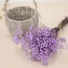 Decorative Flowers 80g Dried Flower Purple Baby's Breath Bouquet Preserved Fresh Gypsophile Wedding Table Party Garden Autumn Chriatmas