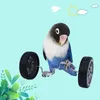 Andra fågelförsörjningar papegoja träning balansera cykel leksak interaktiv rad rullbur cockatiels fåglar roliga husdjurssporter