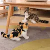 Plush Dolls 26cm Stuffed Lifelike Cats Plush Toy Simulation American Shorthair Cute Cat Doll Pet Toys Home Decor Gift For Girls Birthday Y240415