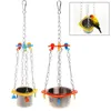 Andere vogels levert dropship Pet Fruit Dispenser Parrot Waterer Feeder Container Kleurrijk acryl