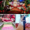 Fiori decorativi 500/1000 petali di rosa fiore di seta artificiale per romantico giorno di San Valentino decorazione per matrimoni Rosine forniture