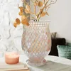 Vases Glass Office Decoration Table de mariage Interior Fall Nordic Design Kitchen Jarron Decorativos Home Decorations YN50VS