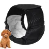 Vêtements de chien couches mâles élevés absorbant le pantalon de bête de compagnie chiens chiens problématiques chiot avec des accessoires d'incontinence urinaire