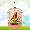 Altri uccelli forniscono giocattoli cinguettanti a gabbia di controllo vocale induttivo piccolo pappagallo per bambini