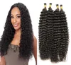 keratin stick tip human hair extensions I Tip hair extensions Natural Color unprocessed brazilian kinky curly hair 200g 1gstrand 9760319