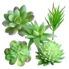 Fleurs décoratives 5pcs mini assortiment vert fausse plantes succulentes articulent cactus émulation pour le bureau de table de bureau de bureau
