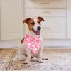 Hundekleidung 2 PCs Haustier Bib Decor Outfit Party Schal Polyester Welpe Bandana Triangular Bandanas