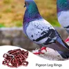 Other Bird Supplies Pigeon Identification Rings Foot Ring With Number Birds Marking 50pc Bands Training Accessories