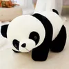 Peluş Bebekler 20cm Sevimli Bebek Panda Bear Peluş Dolduran Hayvan Bebek Oyuncak Yastığı Karikatür Cavai Bebek Kız Sevgili Hediyesi Y240415